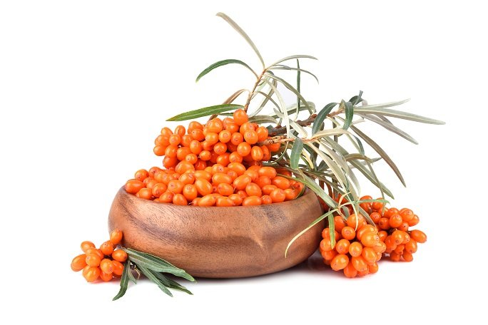 Sea Buckthorn berries along with leaves