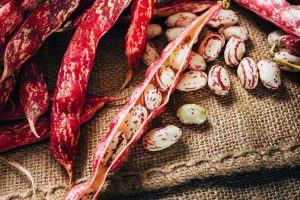 Borlotti beans- a healthy and nutritious diet